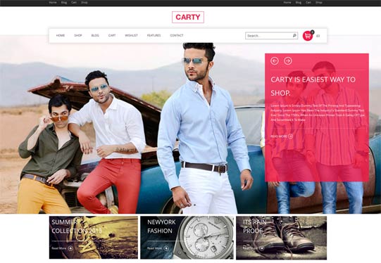 Carty WordPress theme