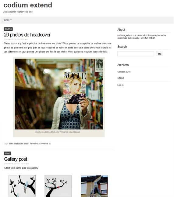 Codium Extend WordPress theme