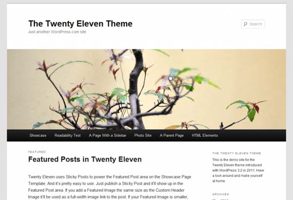 Default WordPress theme