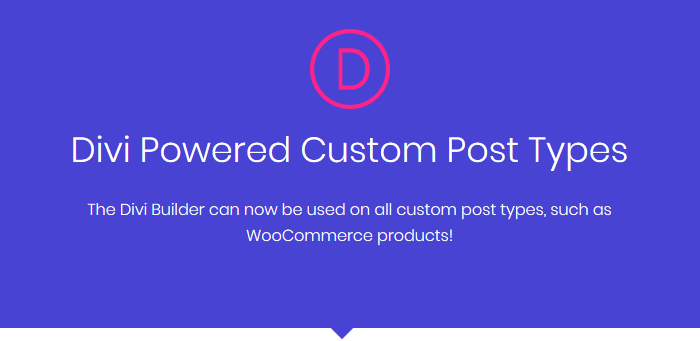 Divi custom post types