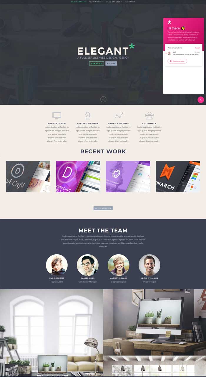 Divi WordPress theme