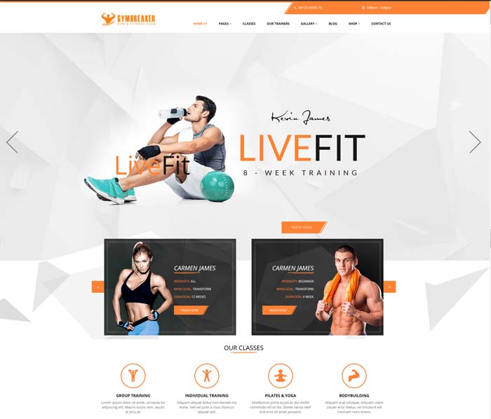 Gym and fitness theme