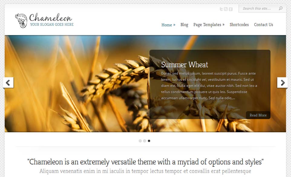 Chameleon WordPress theme